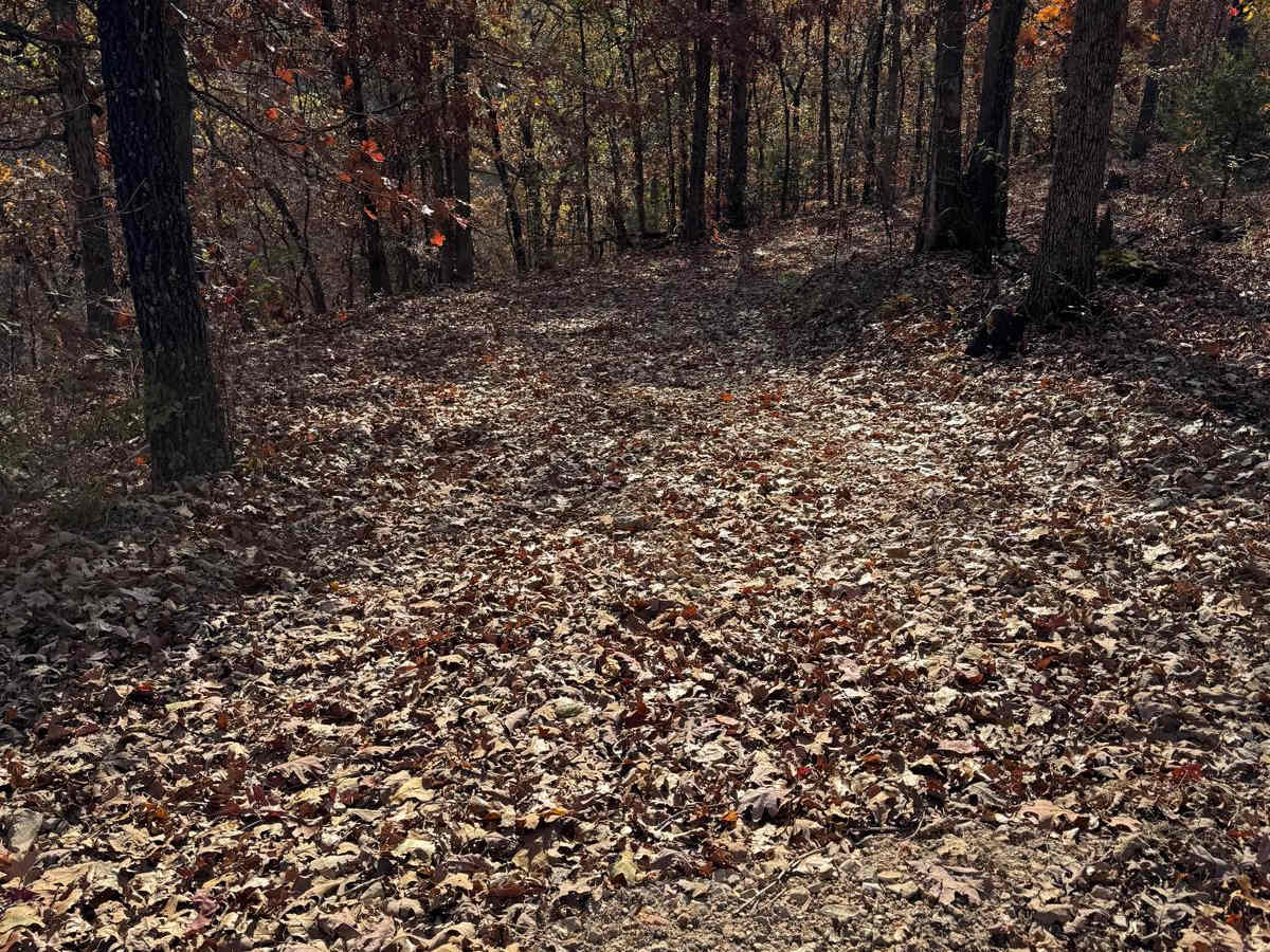 Green 195 trail photo