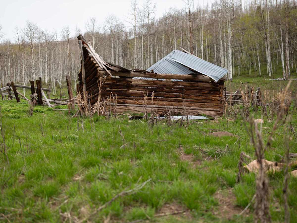 West Fork Duchesne - FR 70050 photo 3