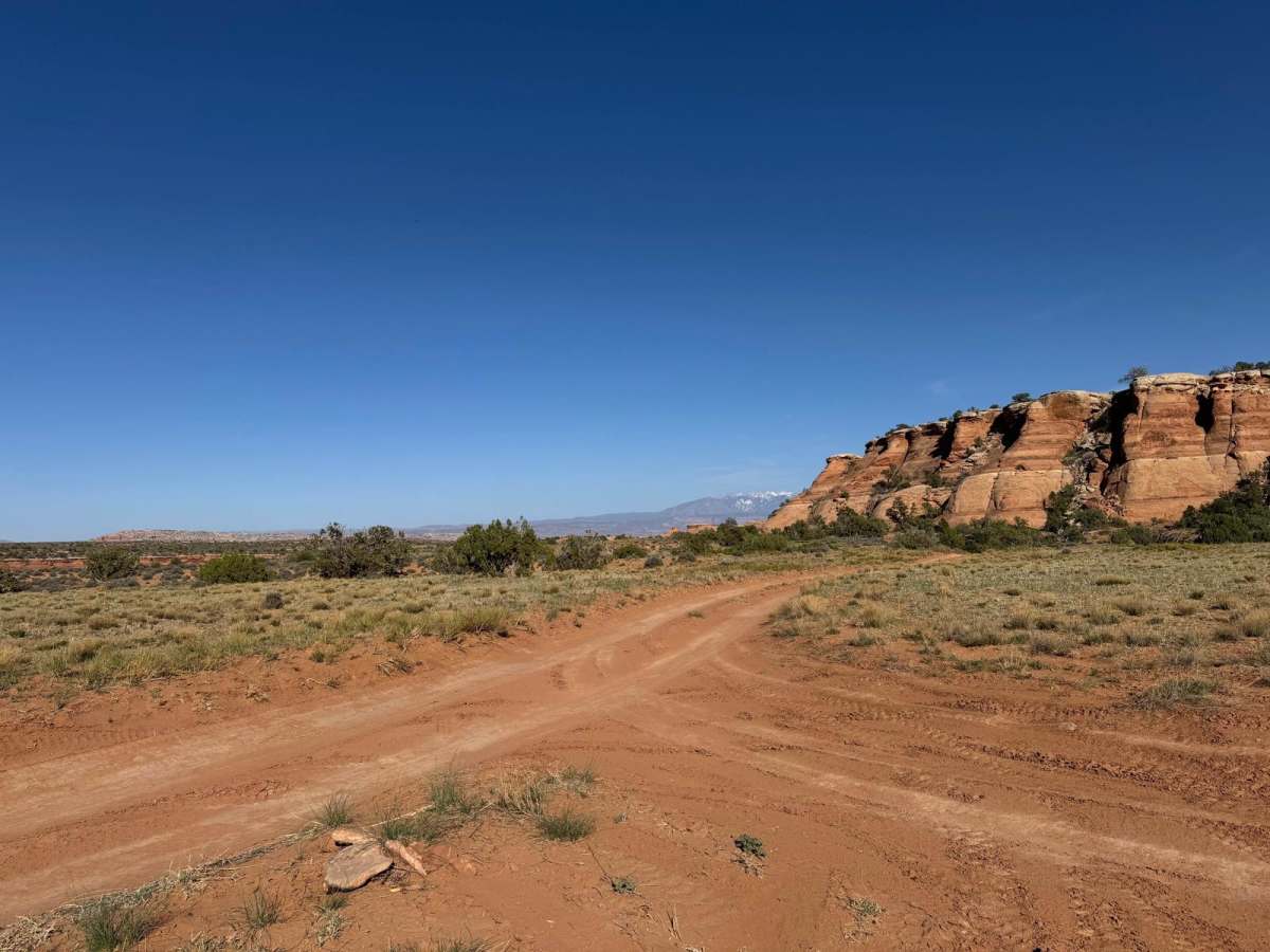 D1781 trail photo