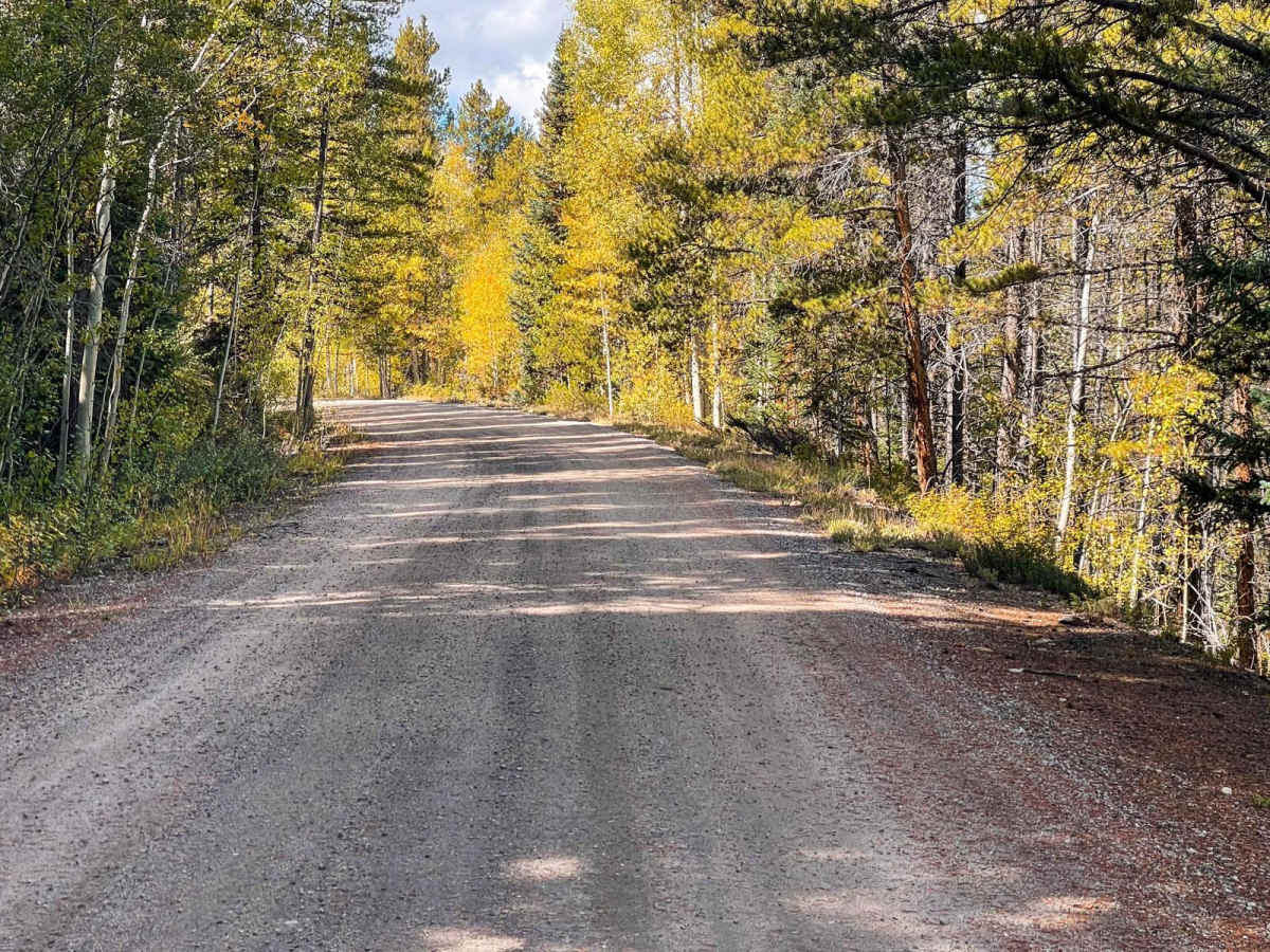 Old Highway Road photo 3
