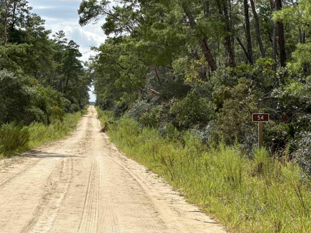 Barbarossa Trail - ONF 54 photo 4