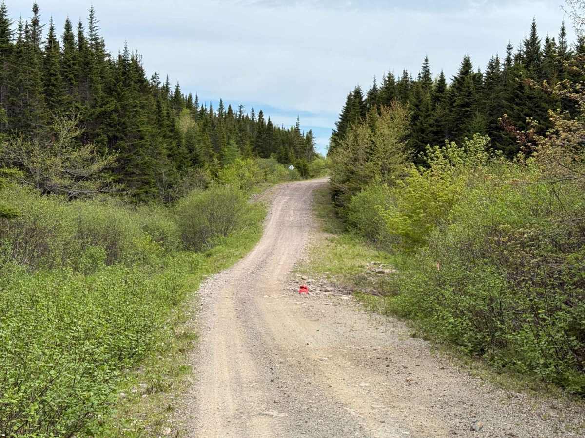 Trout Brook Road photo 5