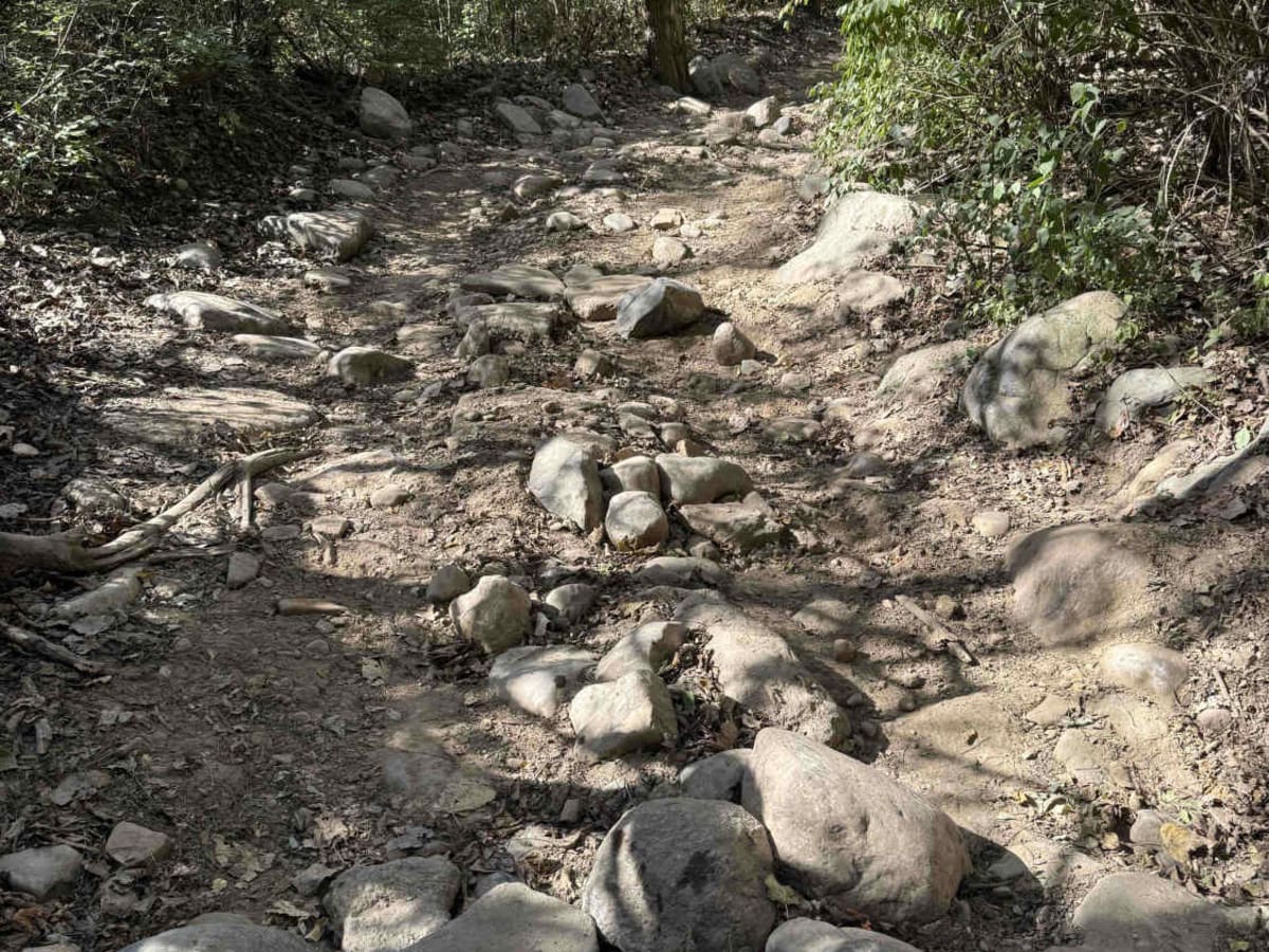 Red Trail photo 6