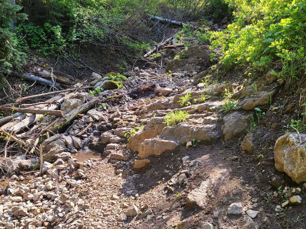 Card Canyon West photo 3
