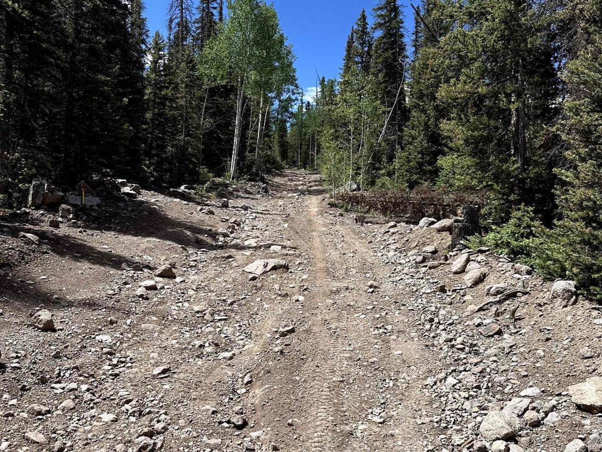 County Road 14 - Lake City photo 2