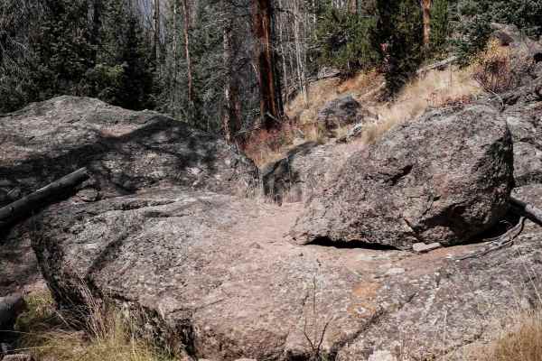 West Alder Trail - 798