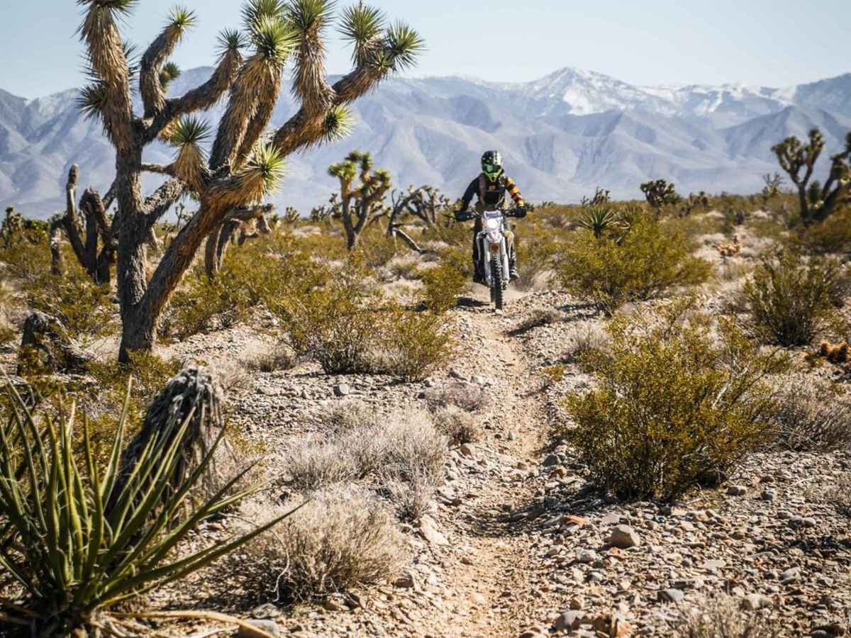 Pants Loop trail photo