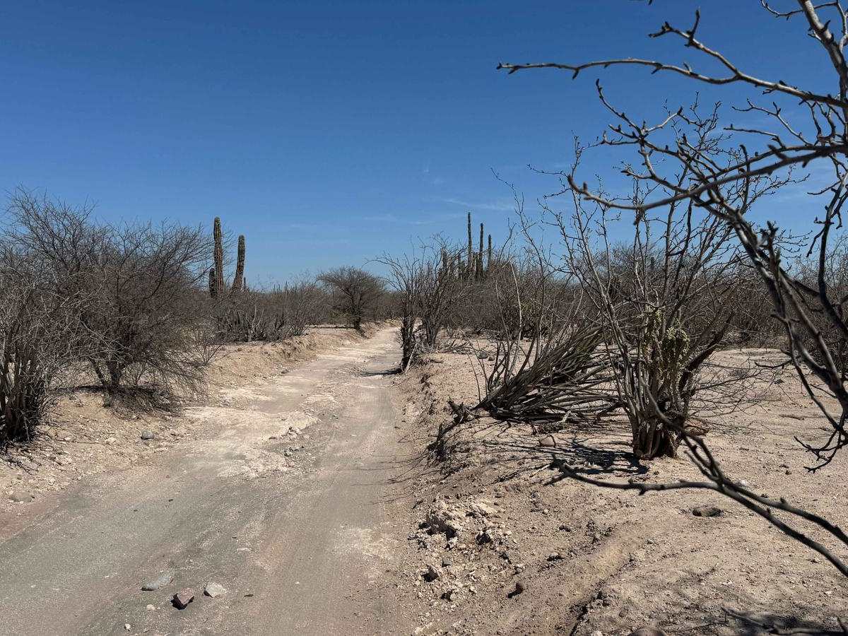 Rancho Golondrinas Crossover photo 5