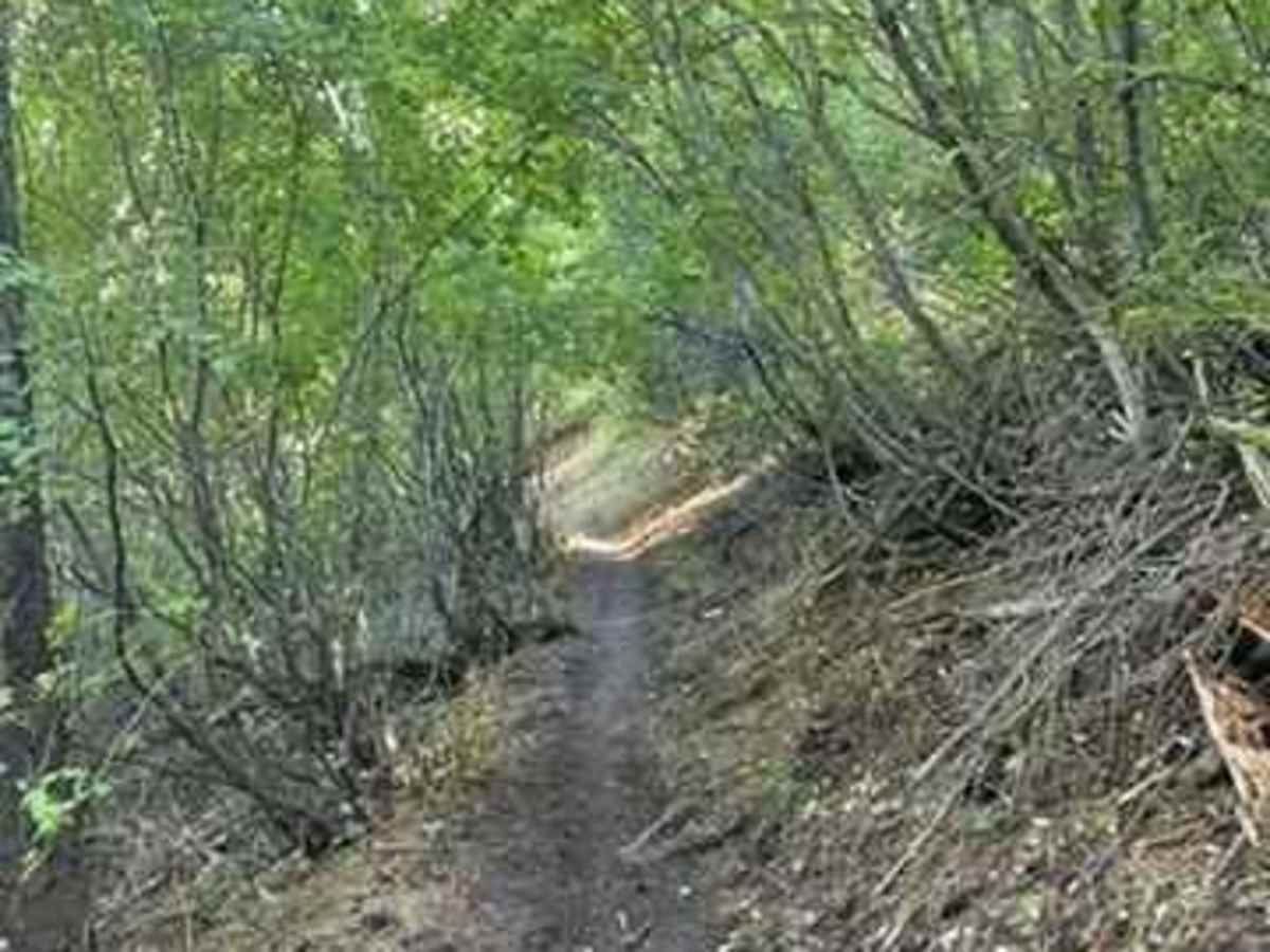 Crestline trail - Bell Marsh Creek photo 2