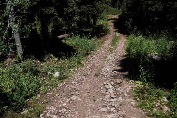 Eightmile #3446 