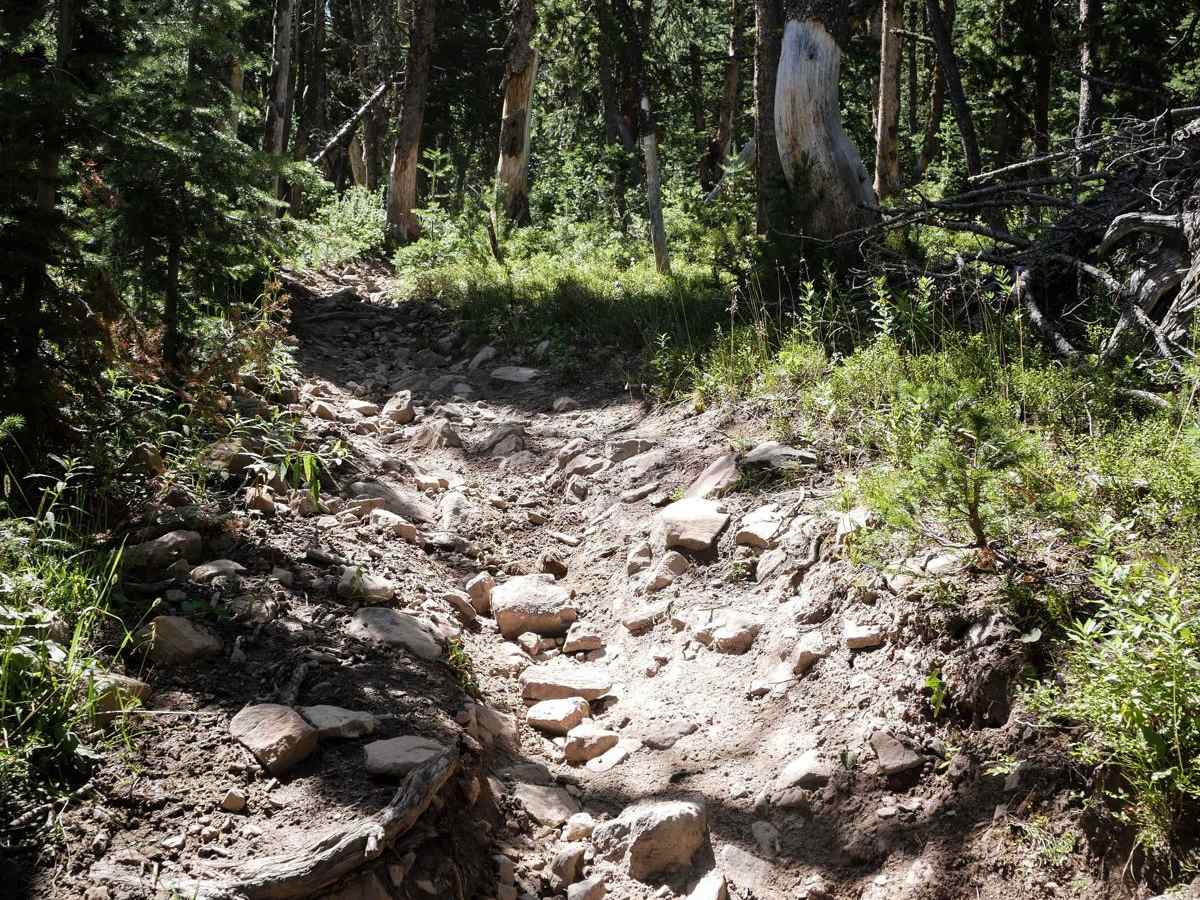Lizard Lakes trail photo