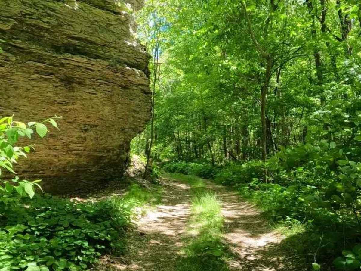 Otter Pond FSR 345A trail photo