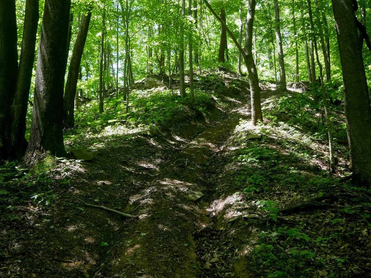 CC72 trail photo