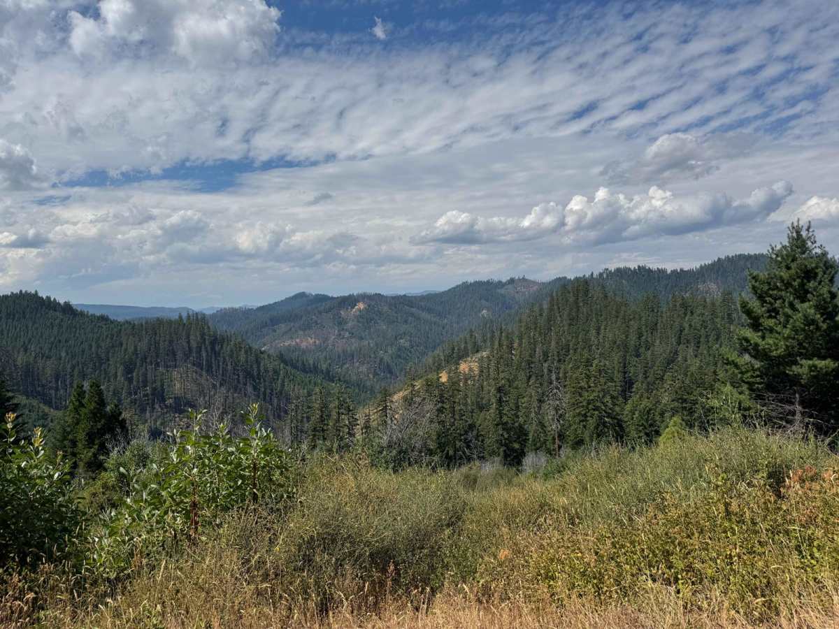 Little River - Quartz Mountain Rd trail photo