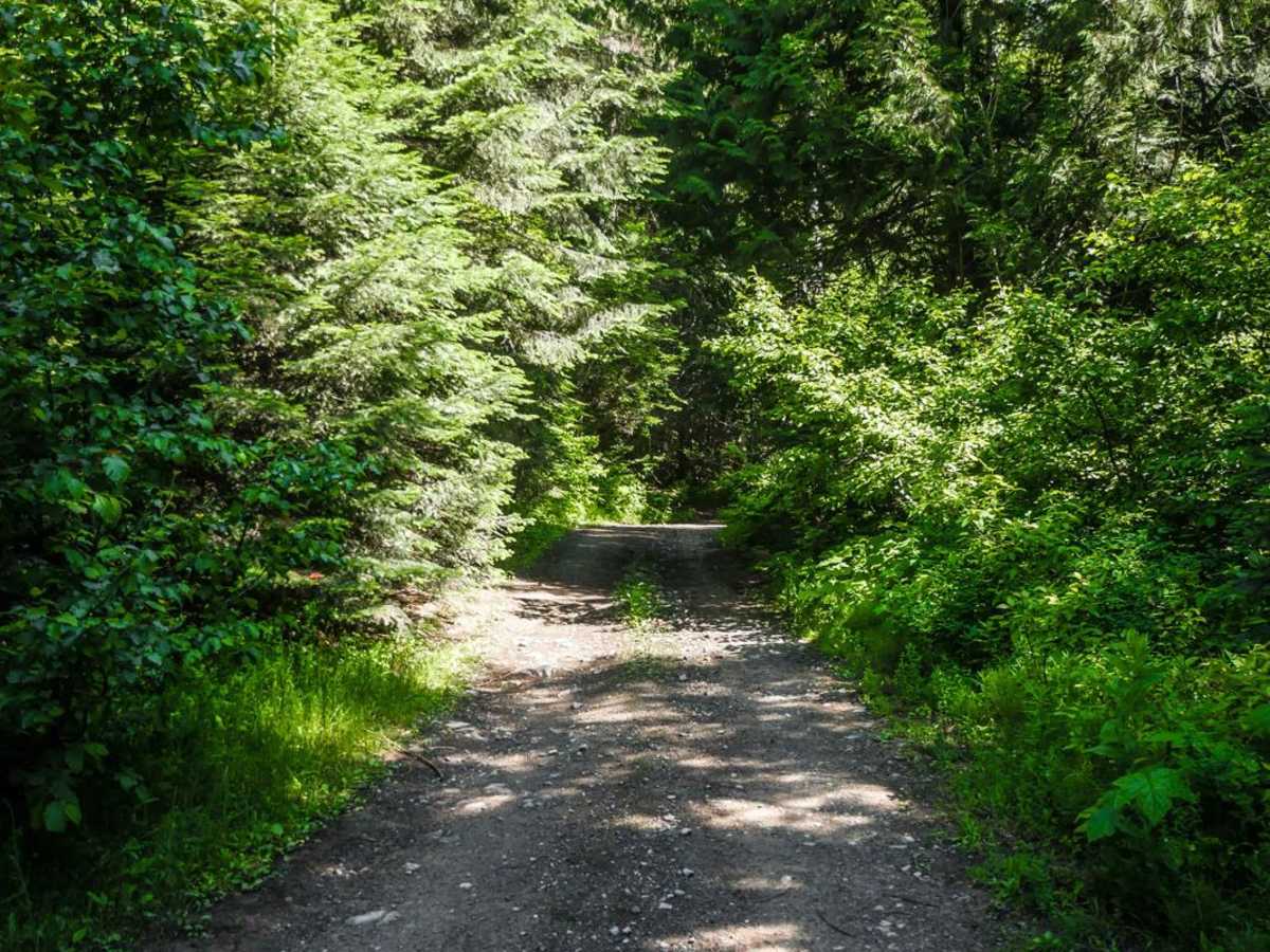 Lucky Swede ATV trail photo