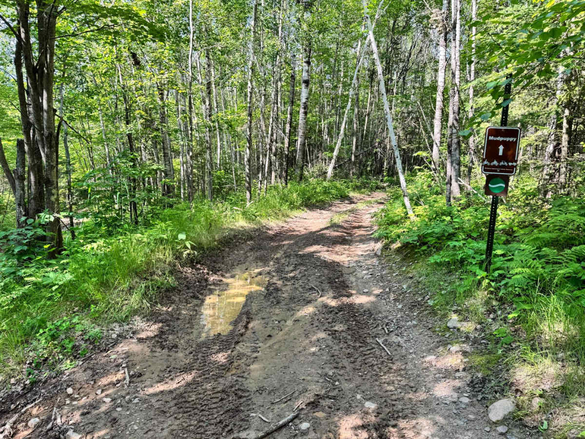 Mudpuppy trail photo