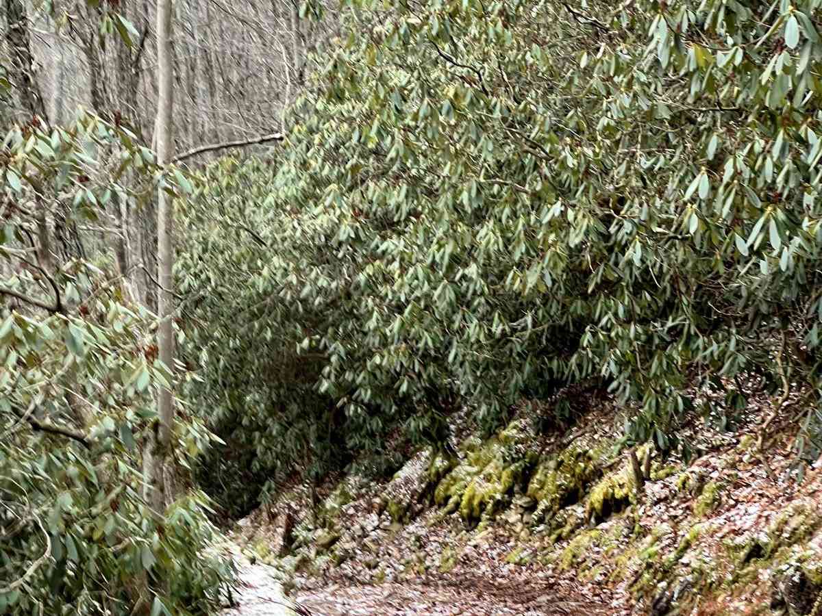 Corporation Dam Trail photo 5