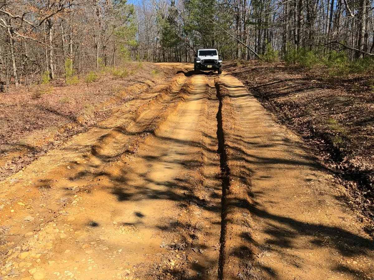 Racetrack Hollow Road - FS 131 photo 6