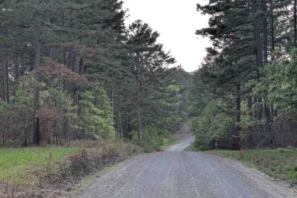 Scott Henderson Gulf Mountain WMA Access Road