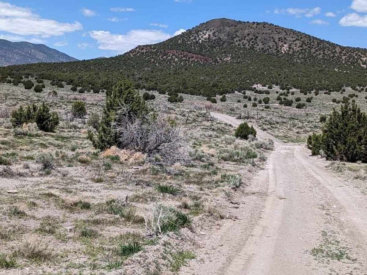 Baudino Ranch Road North photo 5