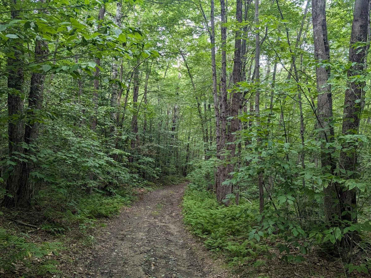 Stetson Road photo 6