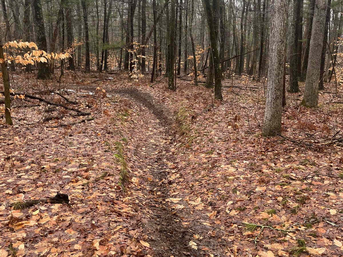 Horseshoe Motorcycle Trail Part 3 trail photo