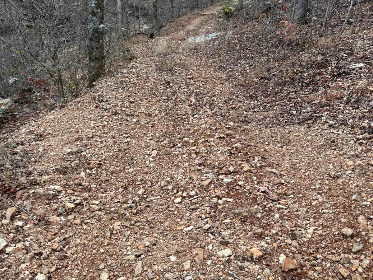 Green 184 trail photo
