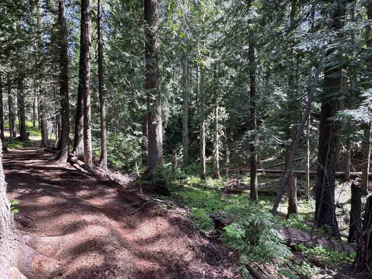 Partridge Creek OHV Trail 8290 photo 2