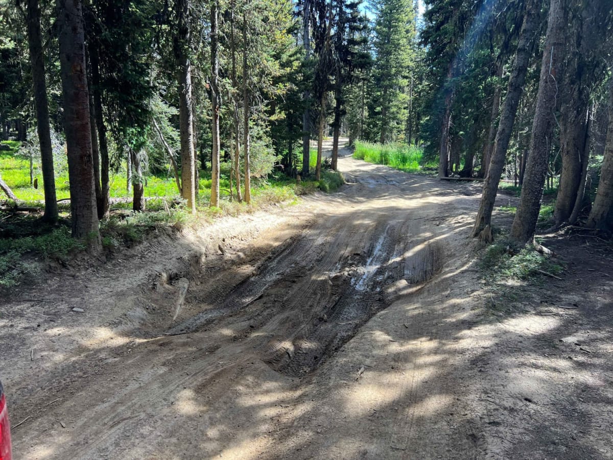 Harrison Creek trail photo