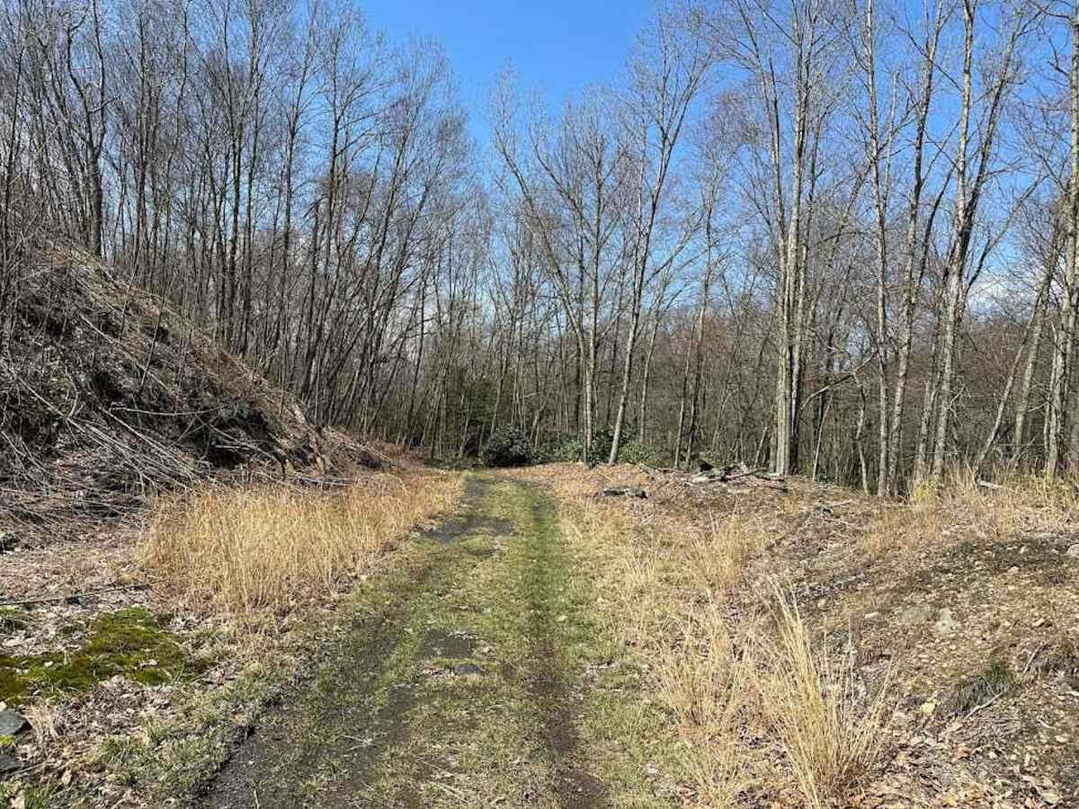 Ashland 129 trail photo