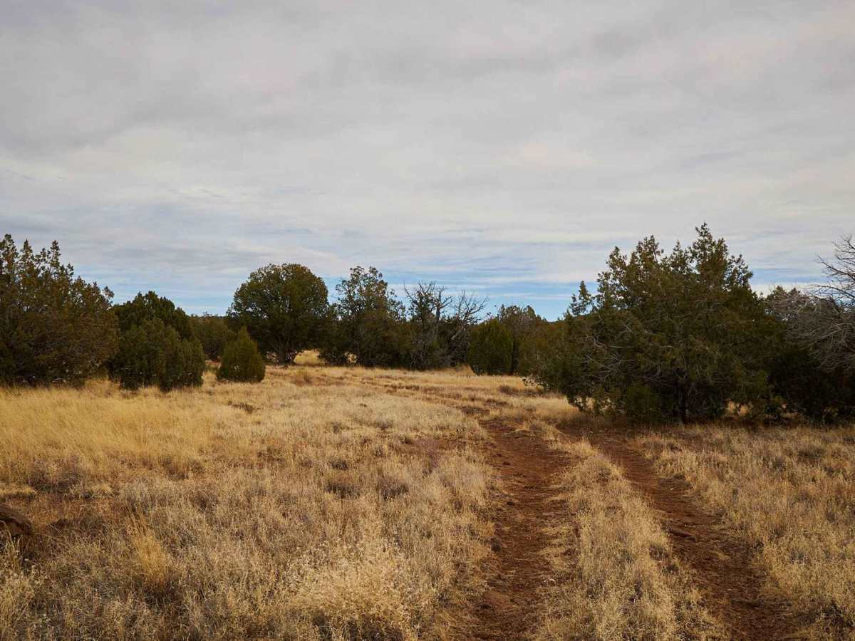 Hunters Camp photo 6