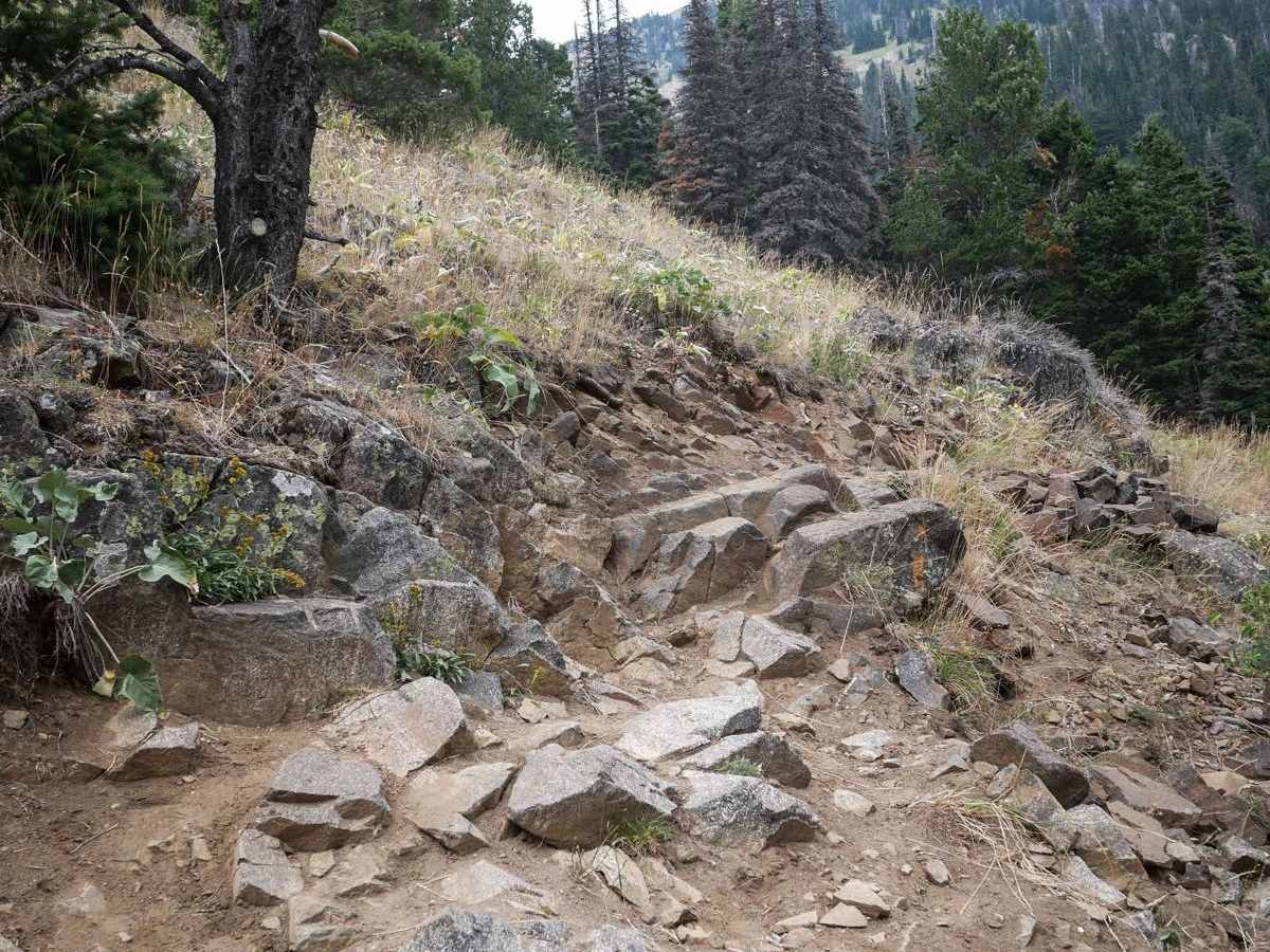 Bridger Mountains trail photo