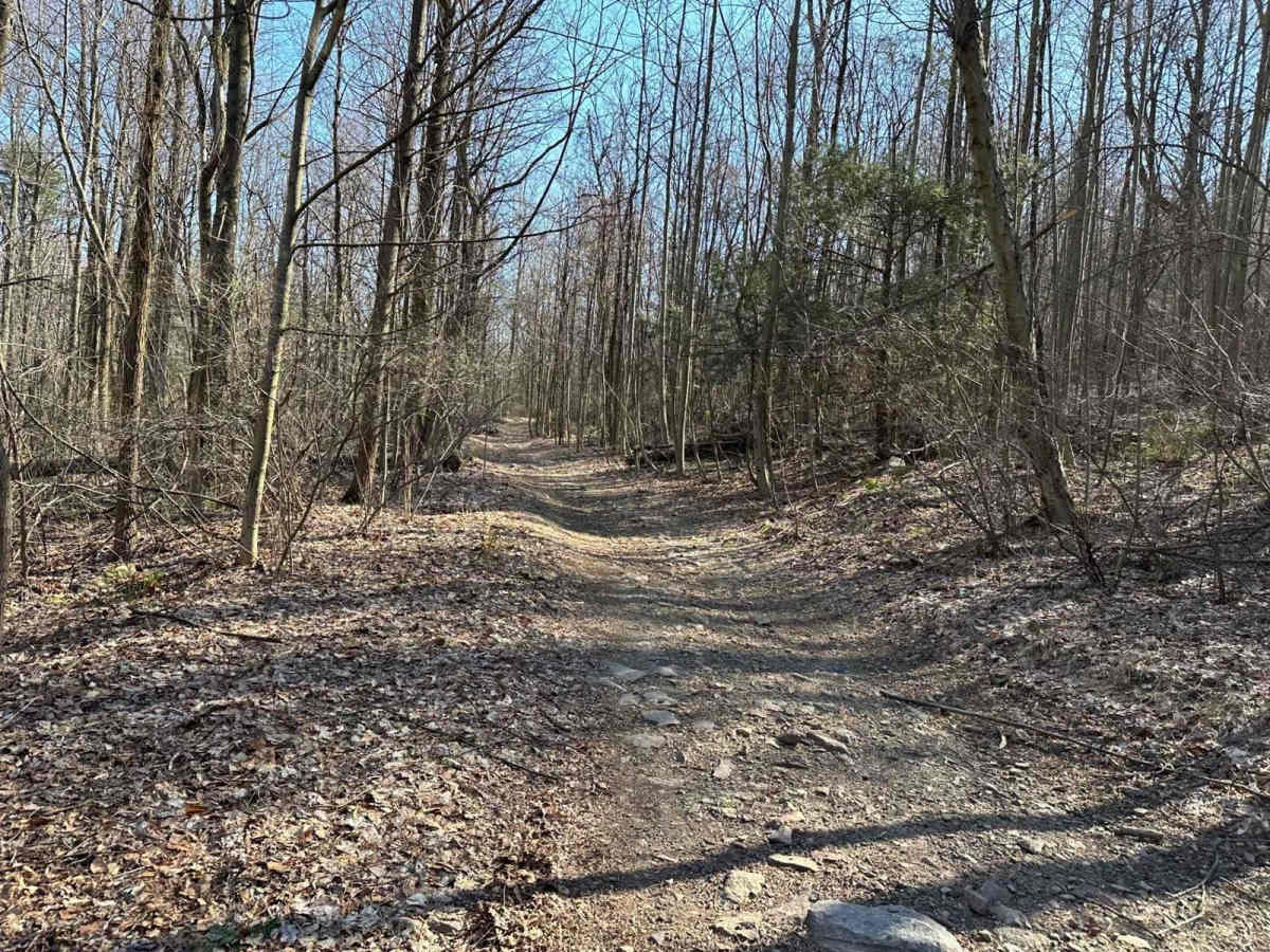 Tower City 3 trail photo
