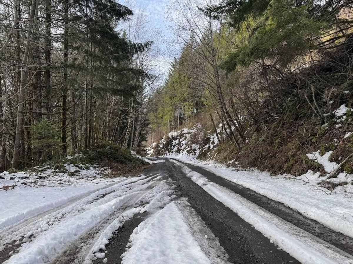 Hoffman Road photo 6