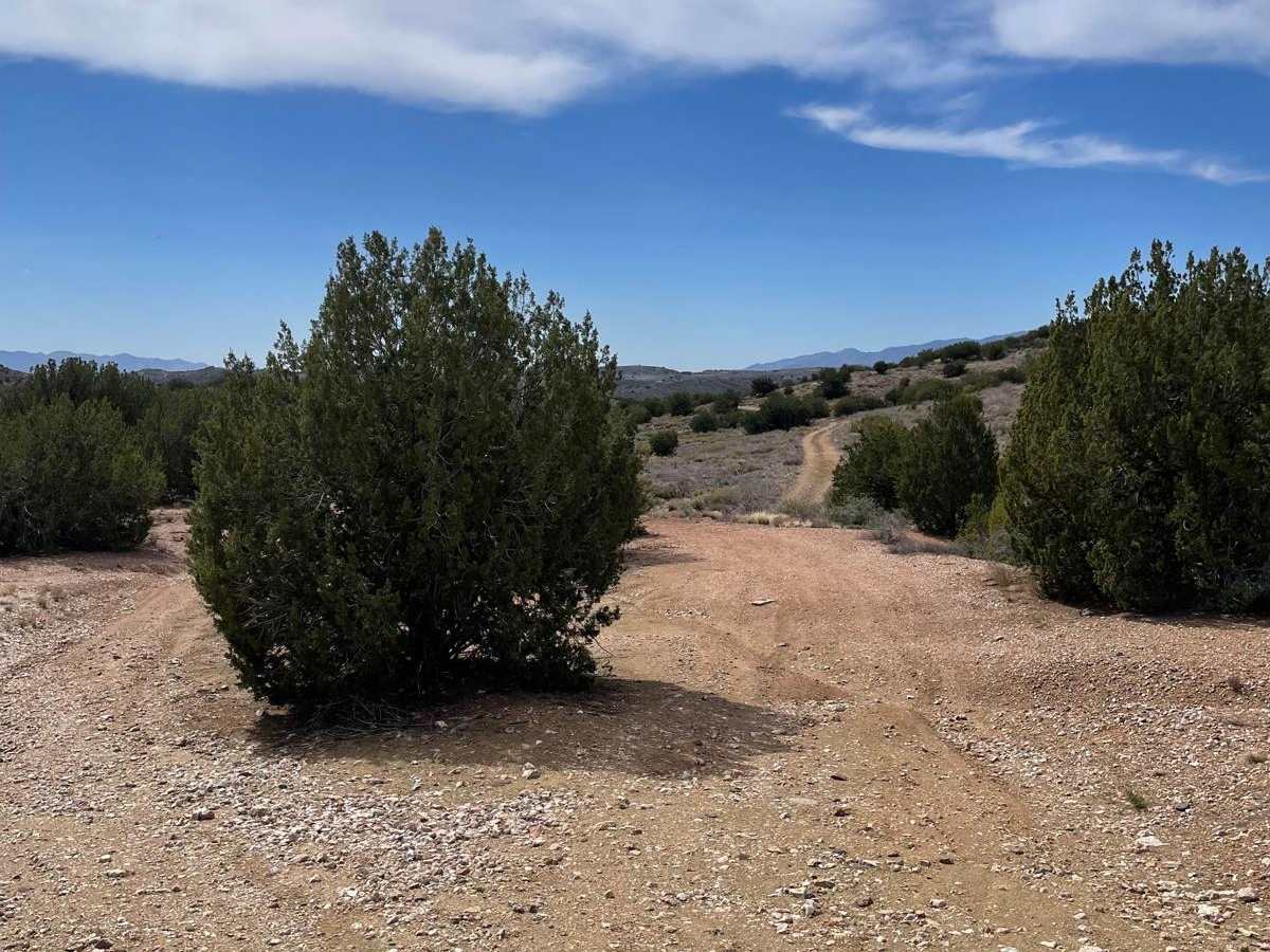 Mine Shaft Boulevard photo 2