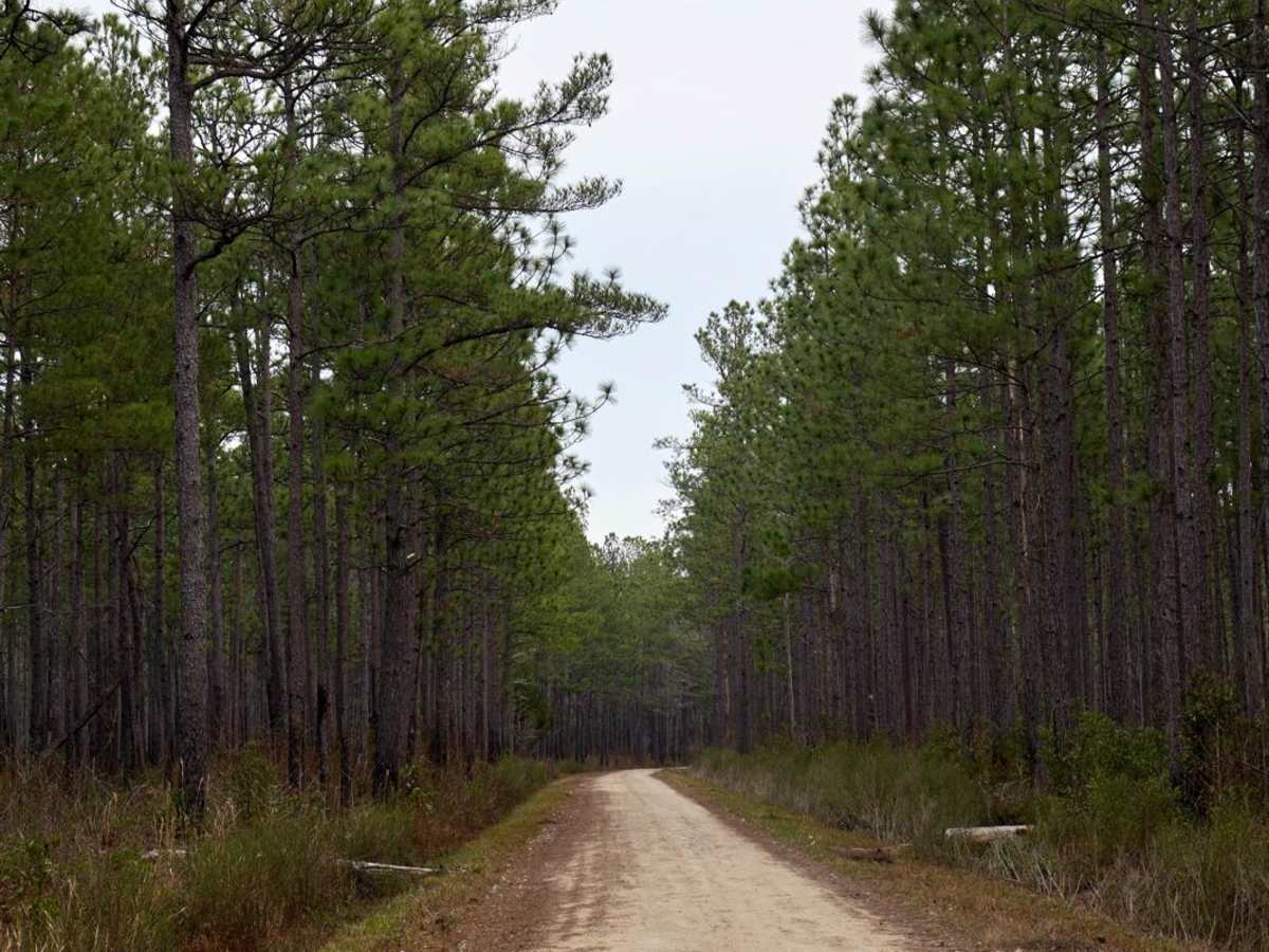 Brick Church & Hoover Road - FSR183 & FSR188 photo 5