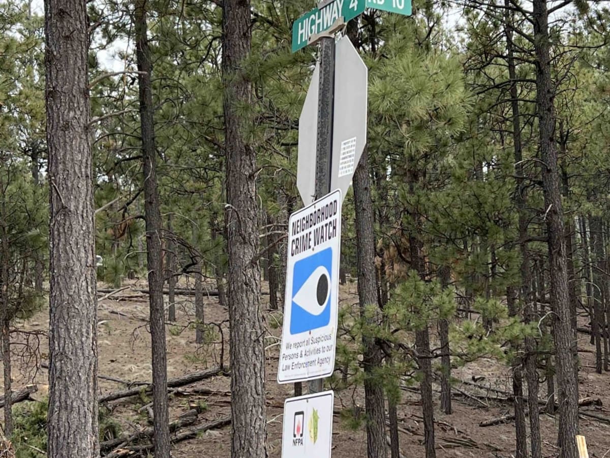 Forest Service Road 10 photo 2