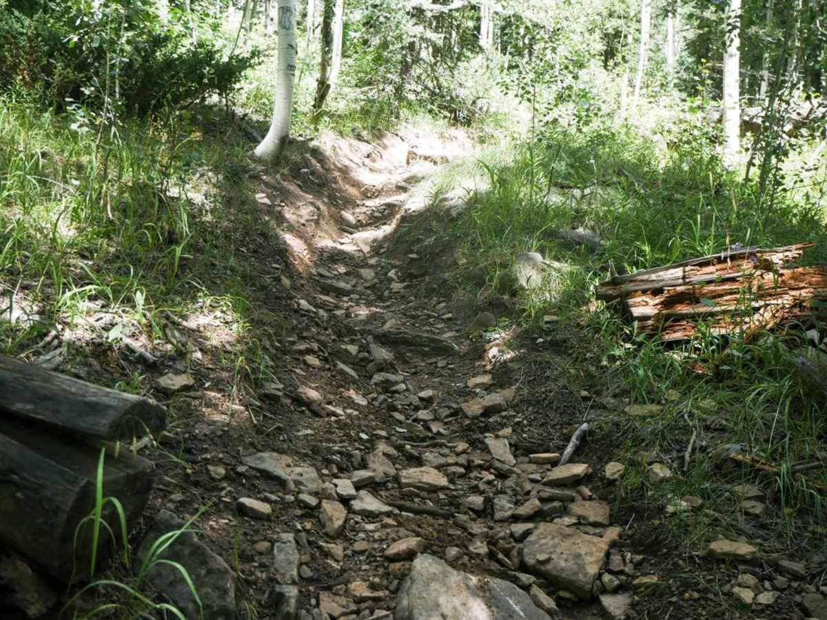 Morrison Trail (Part 1) photo 5