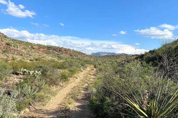 Paint Gap Road