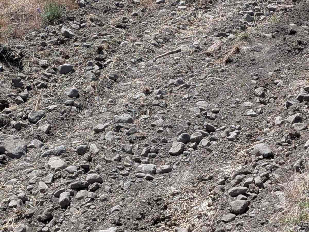 Mahogany Gap Road photo 5