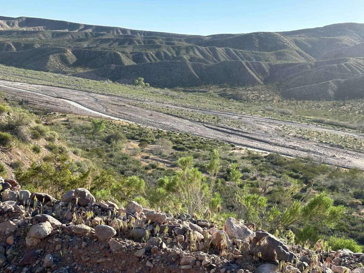 Scarecrow Peak Road photo 3