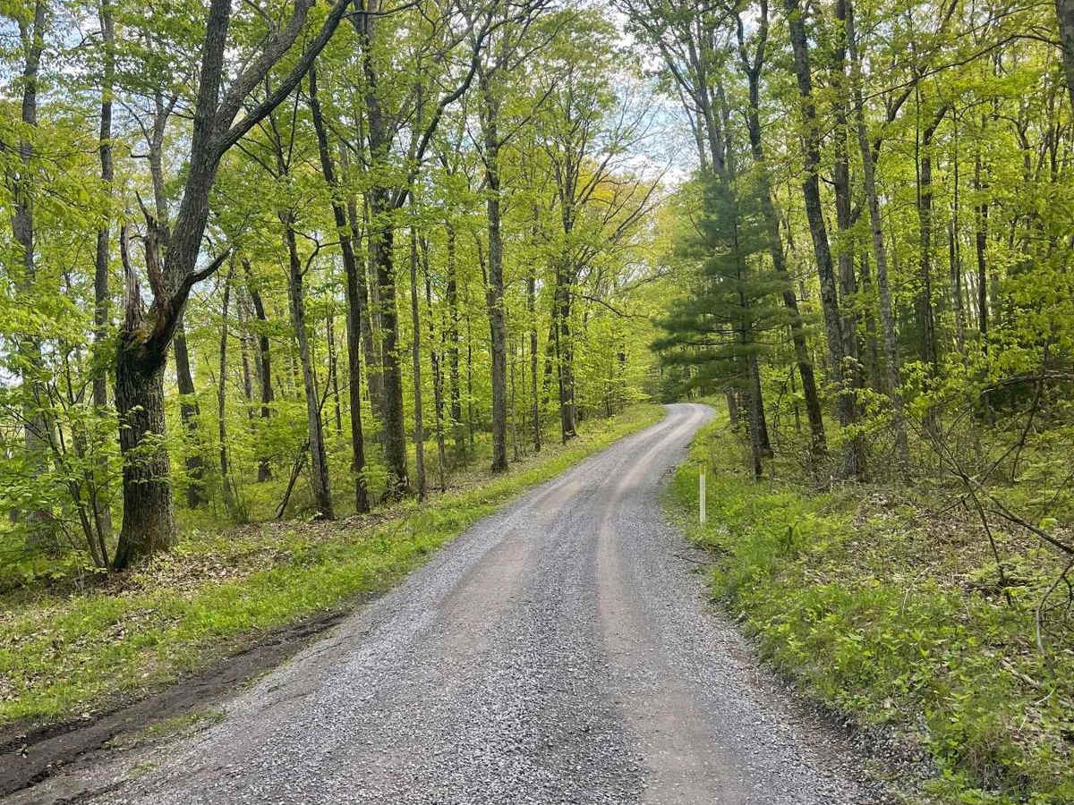 Carrier Road photo 5