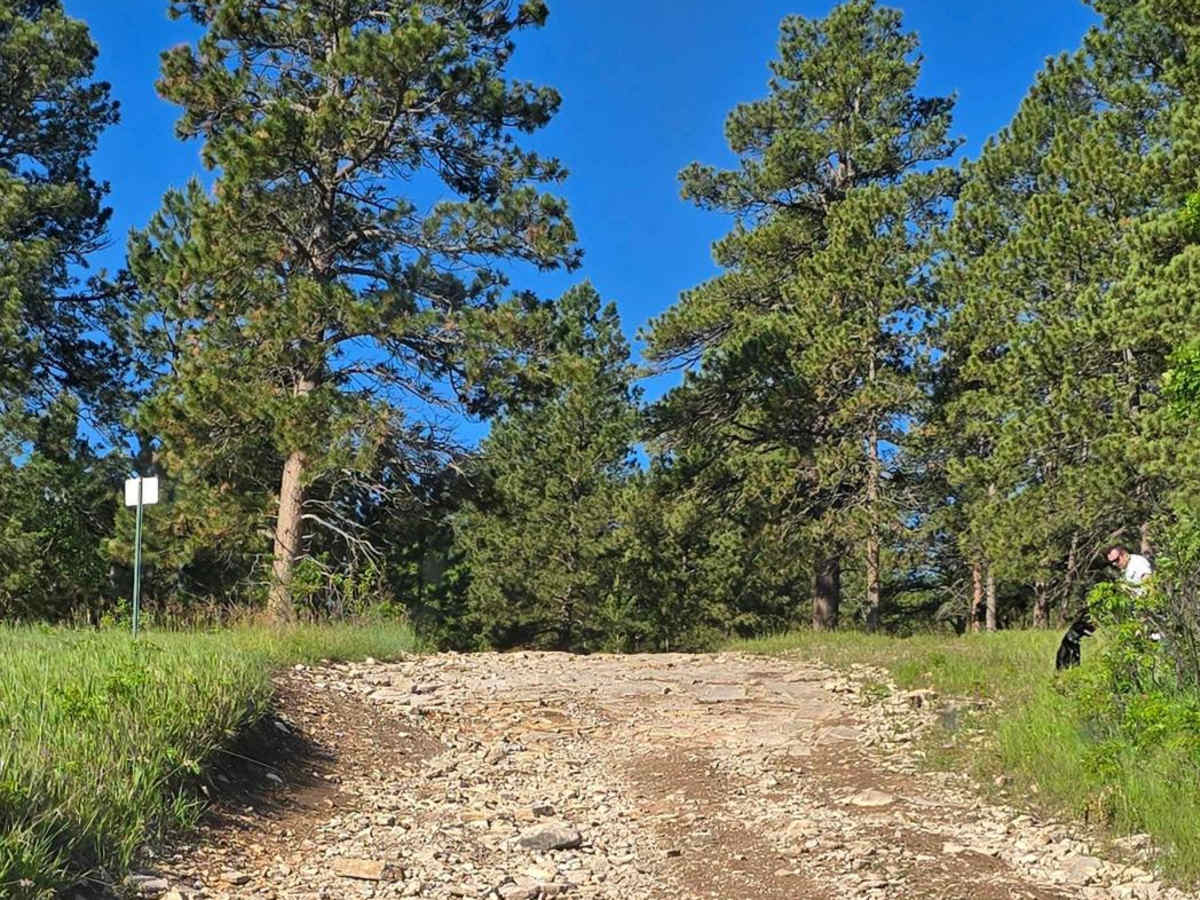 Black Hills Forest Access from Sturgis photo 4