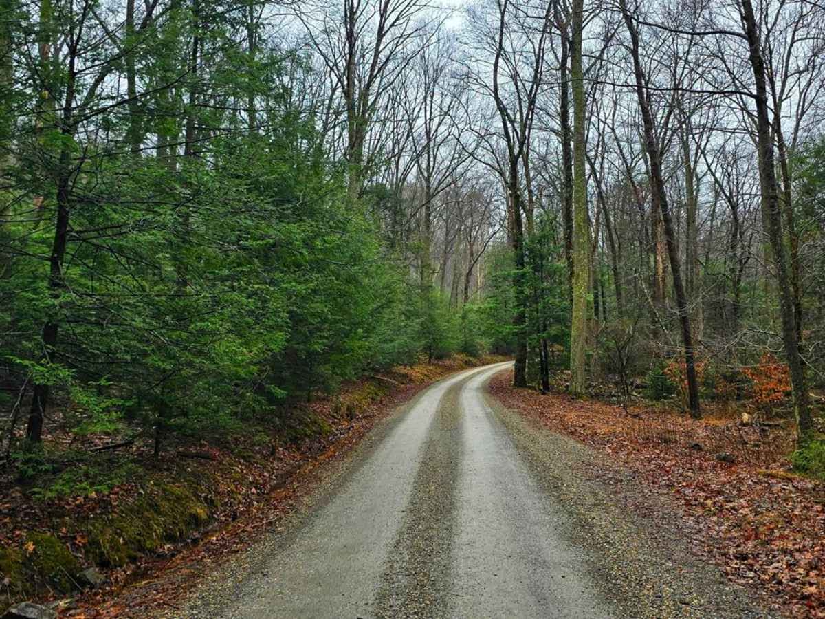 Second Narrows Road photo 6