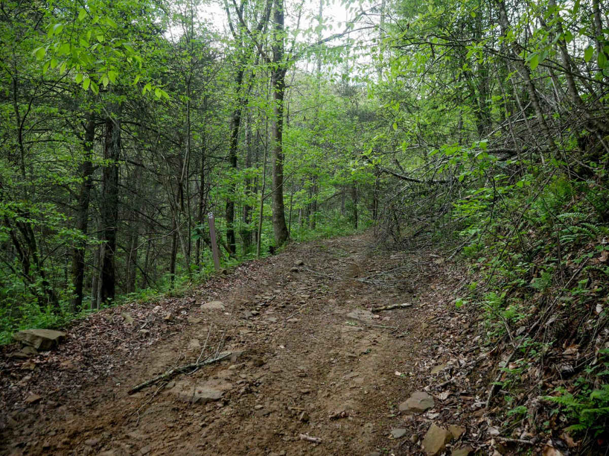 PC 45 trail photo