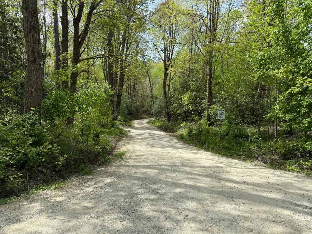 Harper Creek Road - FS 58 trail photo
