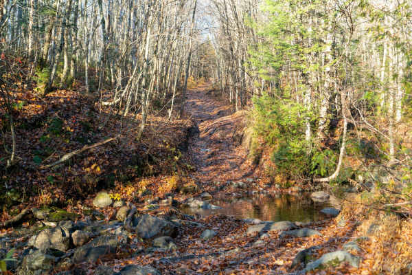 Batchawana Falls Road - Northern Section