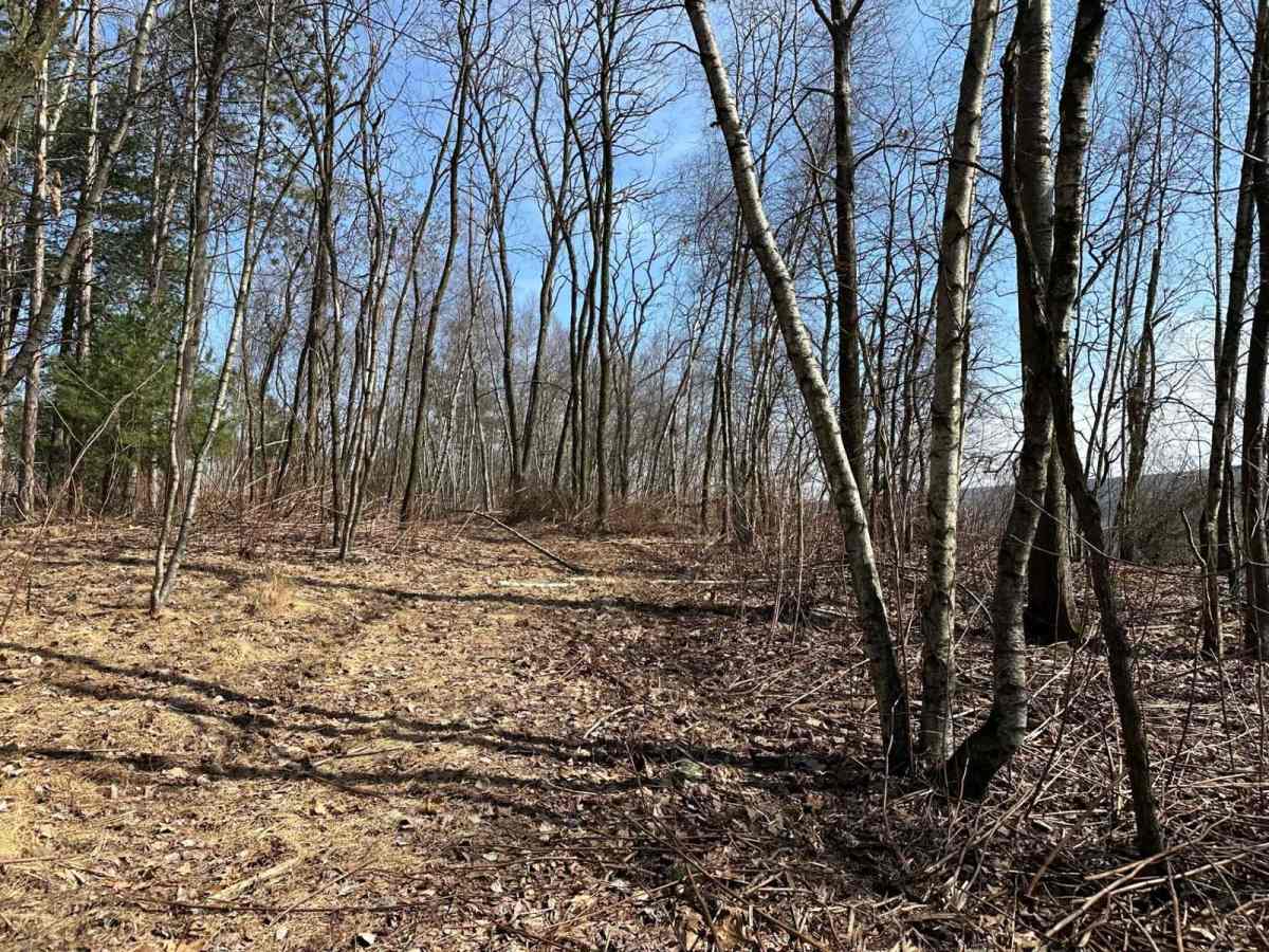 Ashland 190 photo 3