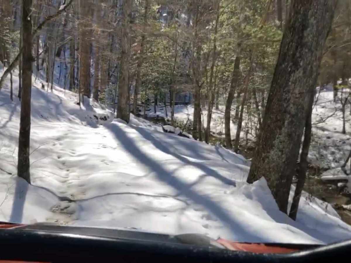 Bear Creek Trail photo 6