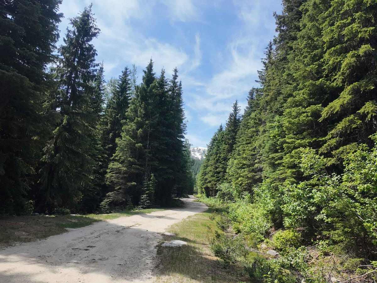 Bugle Pass photo 2